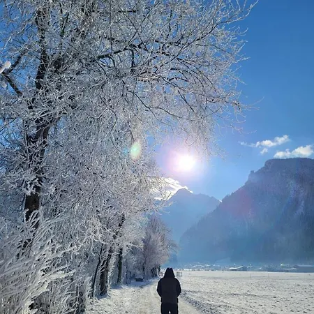 Isabella Apartment Schwendau